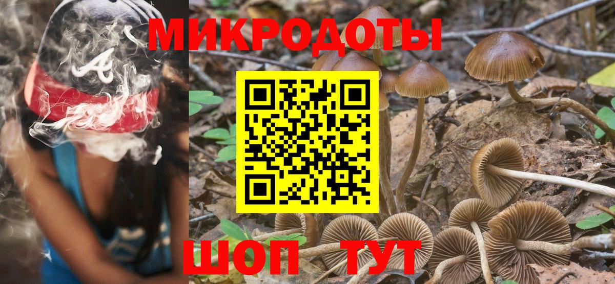 Галлюциногенные грибы прущие грибы Верхняя Пышма