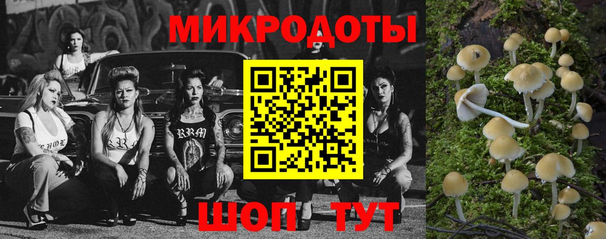 Верхняя Пышма  Галлюциногенные грибы мицелий  Вход с VPN  Псилоцибиновые грибы ЛСД 